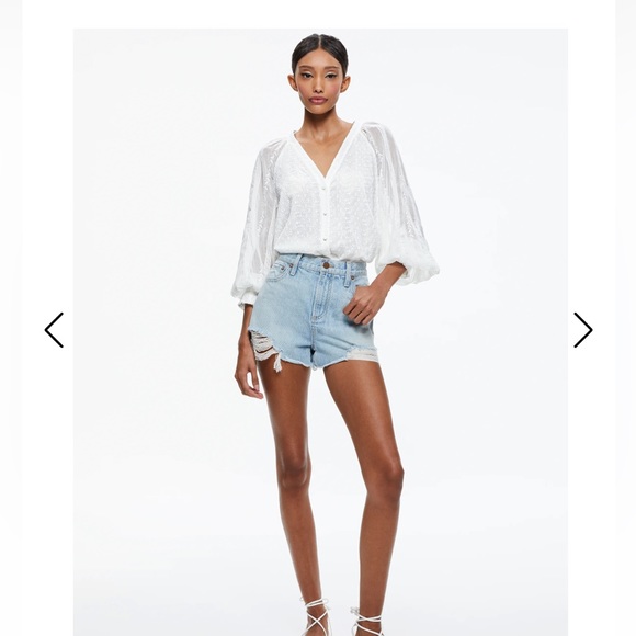 Alice Olivia LANG EMBROIDERED BUTTON DOWN BLOUSE - Picture 3 of 9